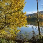 Vue du lac de Saint-Point