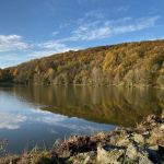 Vue du lac de Saint-Point